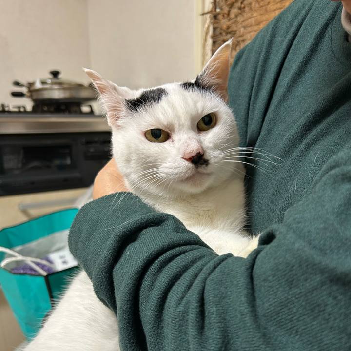 C42f32de 6d27 4efe 828e dc2dd6a81631 1763338332300