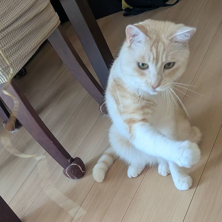 C42f4e31 6545 4350 a9b6 6d7c685c5c03 1753144095568