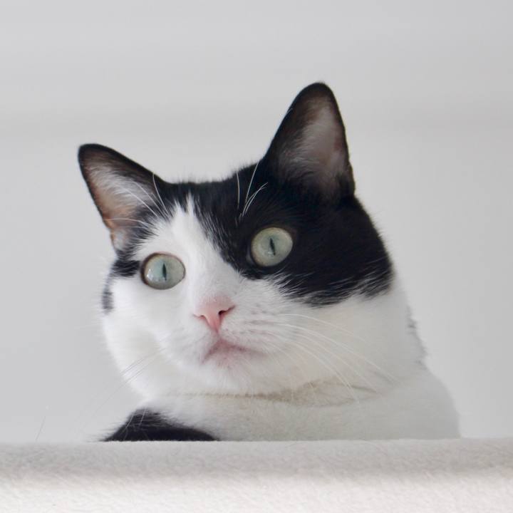 C42f57e2 1158 402c b678 bdd66cf02f15 1571092173083