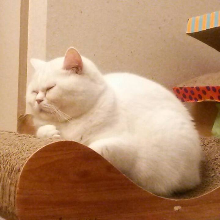 C42f79cb 5e99 4400 bba3 52cde973094d 1514328870110