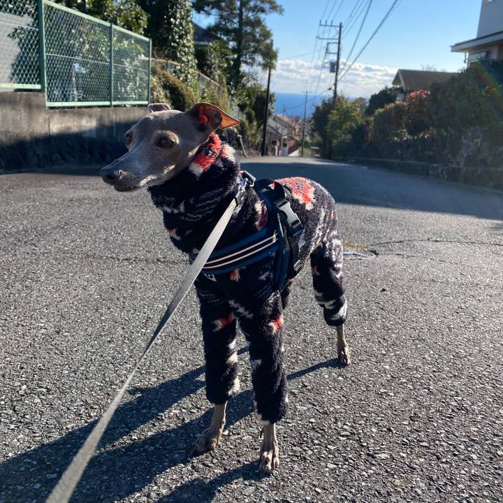 C42f8ff9 825d 45b0 8ddc 036ded85bf92 1767333000886