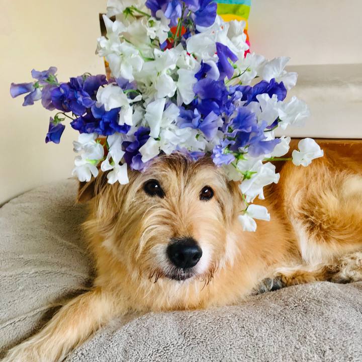 C42f9d09 2cef 4eea a193 80bdffd86f91 1617335329867