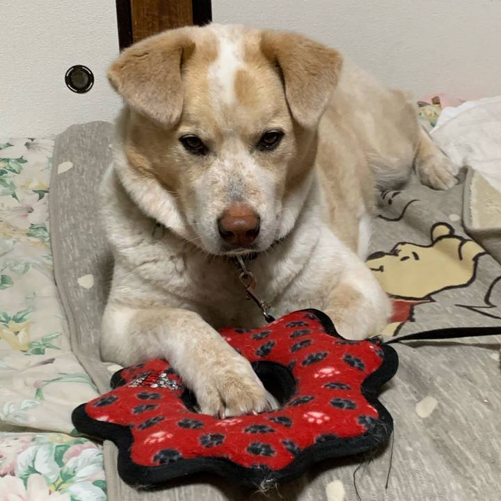 C4301837 a876 41ab beff 007bc6c6c3a0 1587135140108