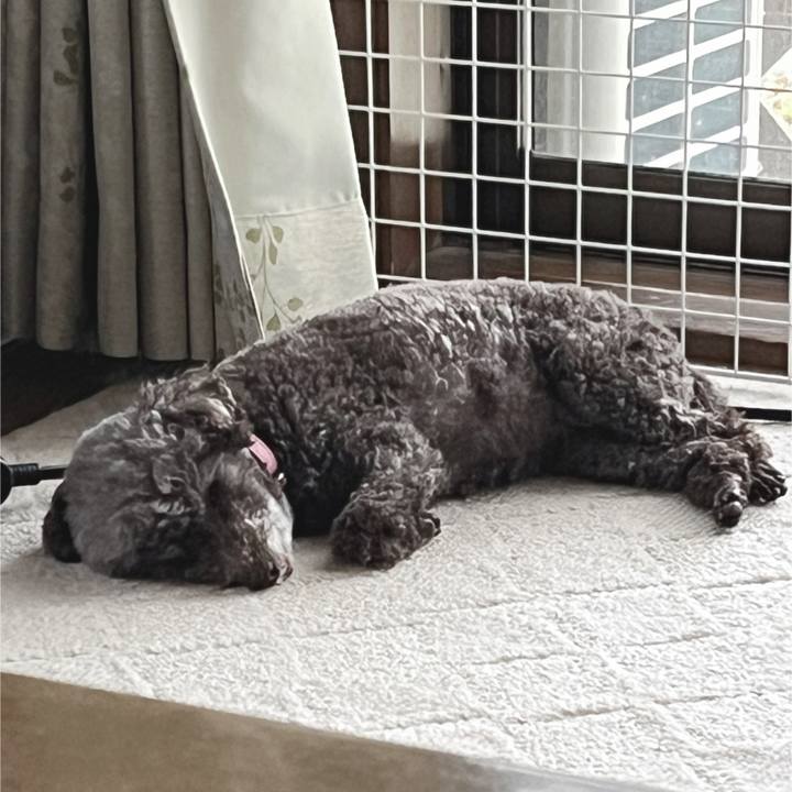 C4304432 b57f 40ee 9e98 2df6a5fef6fe 1688176338226