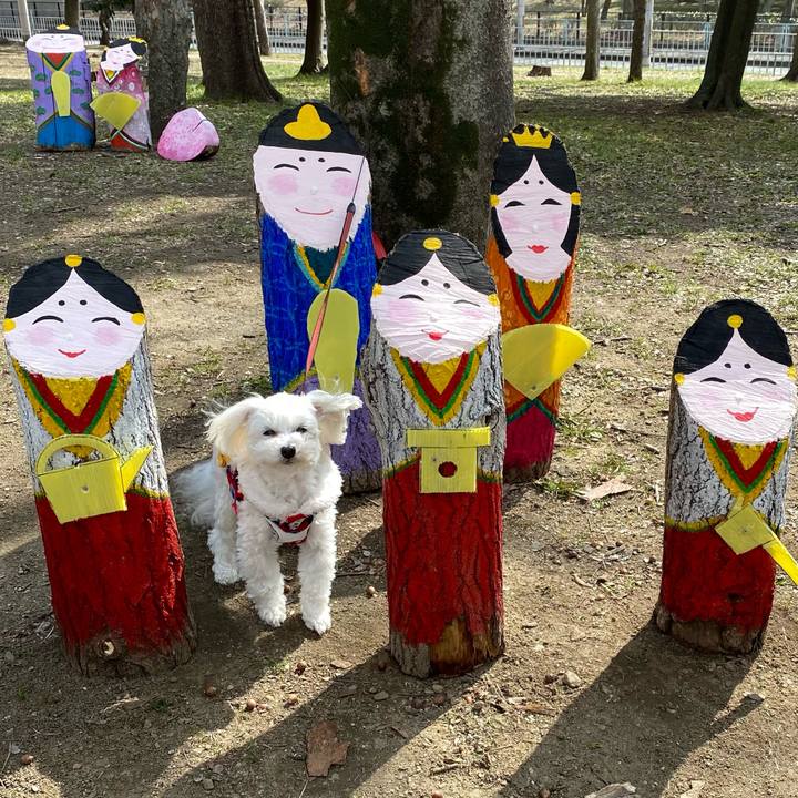 C4305c6a 6cf0 4ab9 997e 3e4f04f21ba8 1645612798668