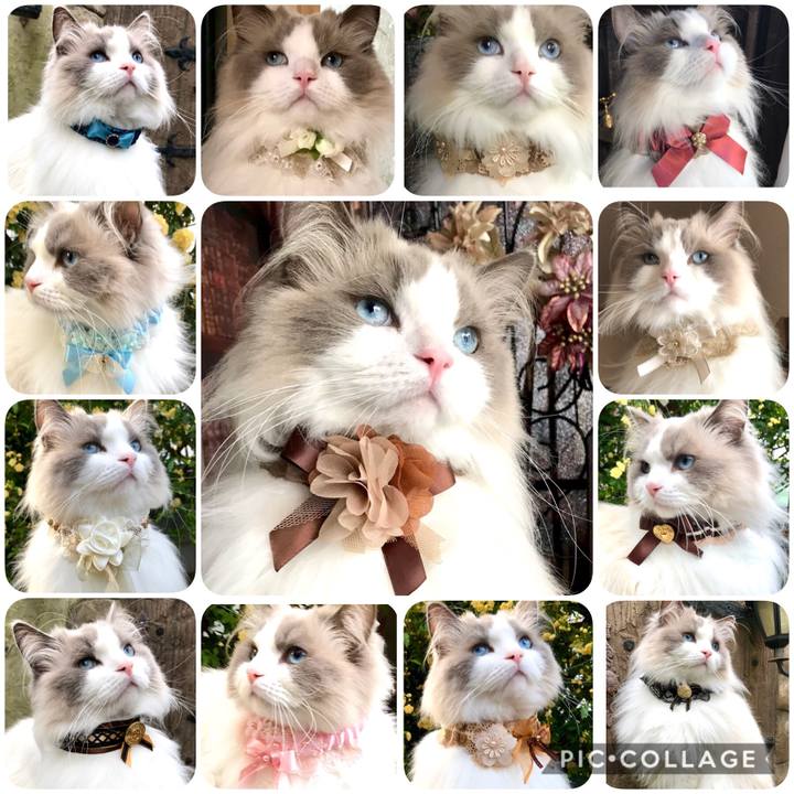 C4306371 6da2 418d 889f 5a99676c2262 1595077200675