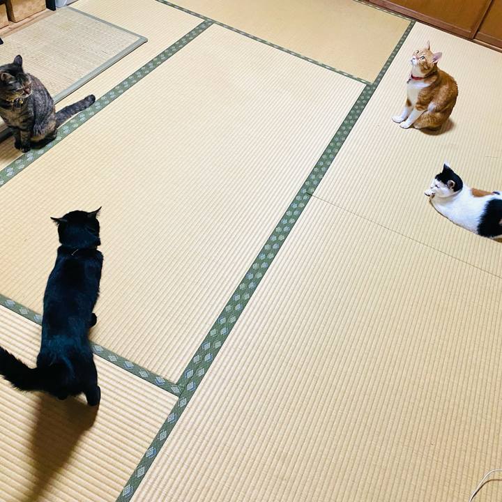 C43076a0 e0a2 4cd7 b73d 6aece660e445 1725222918773