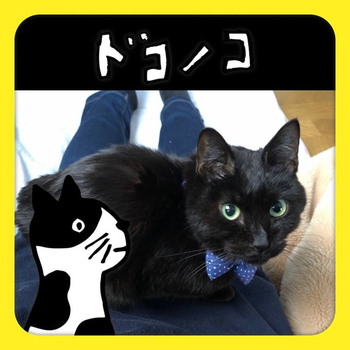 C4309e06 4fb4 41c7 b033 230036d49fc0 1622873351287