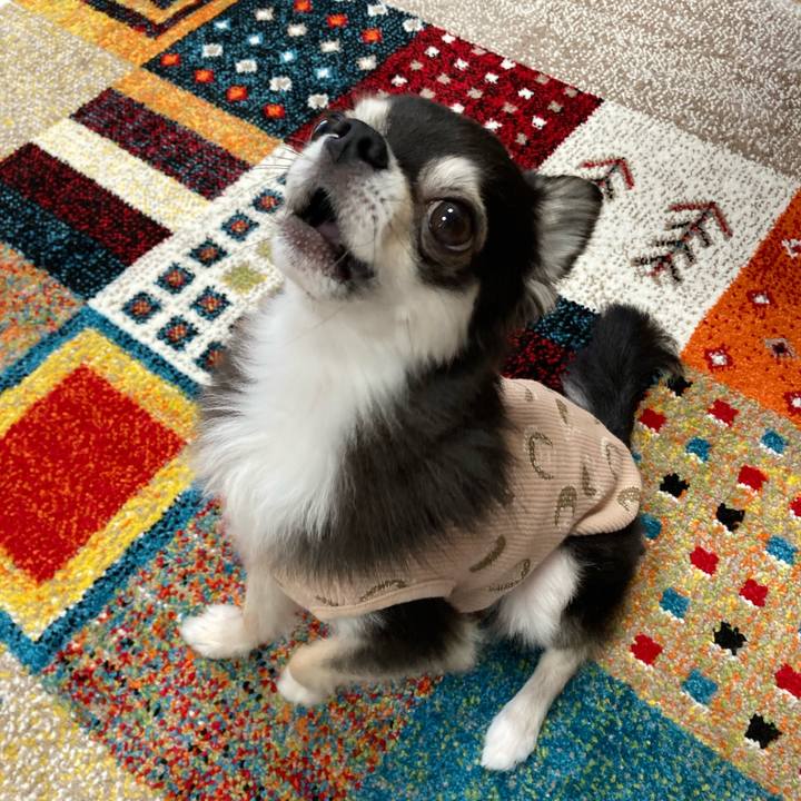 C430a4e1 5065 417a b0b5 2d249c45ebec 1683474161316