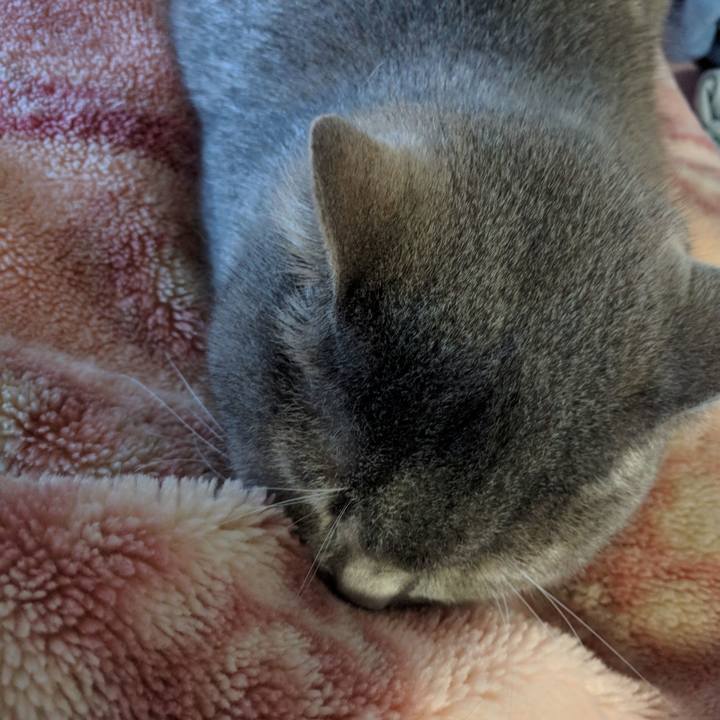 C430b565 cd7f 412e 9d90 b477da0f3696 1541053539762