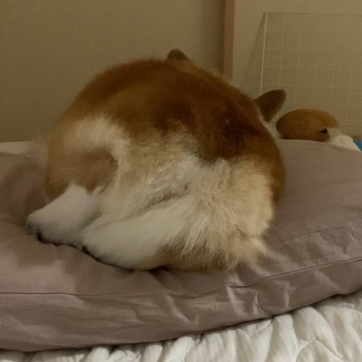 C430e0d9 7ef1 42bc a01c 9d4eca01d015 1696844593970