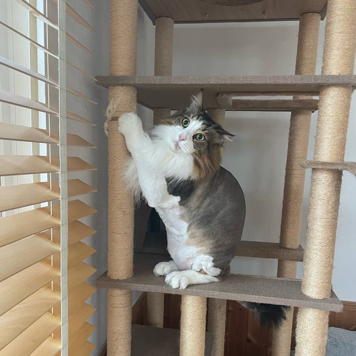 C43119cc f31a 4a5d 9455 8e21f4256369 1751061781426