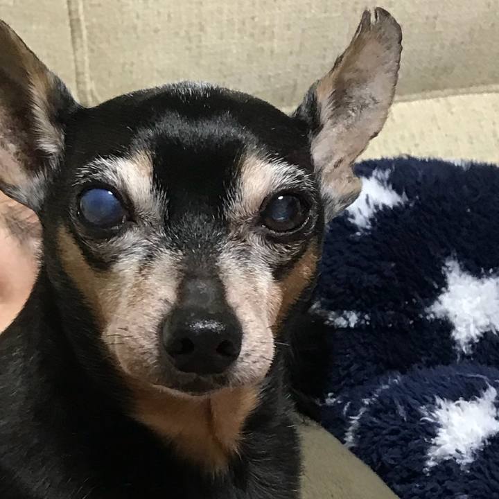 C4318389 3fac 491d 8b8f cf52f1e6a3fc 1551355290354