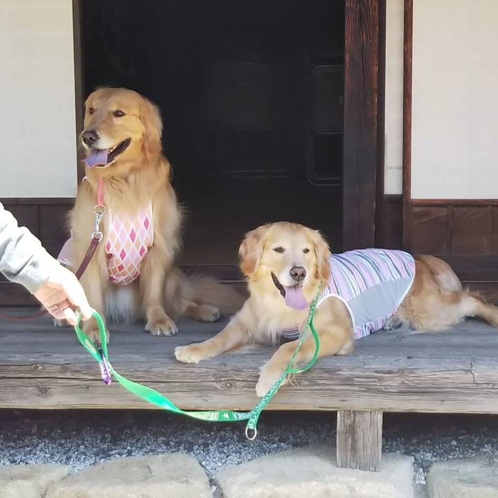 C431a9e1 aad9 40e7 a388 b518942885bc 1587728294348