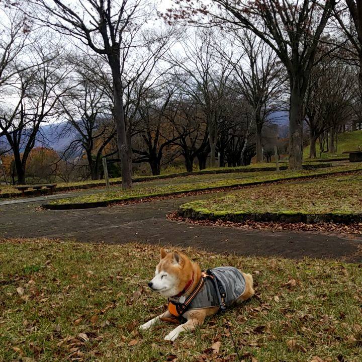 C431b7d9 84ba 479d 8e0a b338e37e4e3b 1732768980368