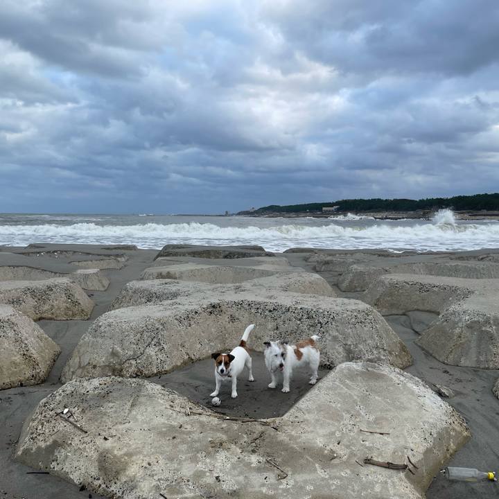 C431b82f b4fb 4014 bb4a 89b0eadbe137 1699399481793