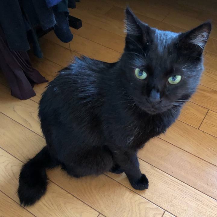 C431b896 11b8 4dd6 83f8 b79d61a676f5 1567457276252