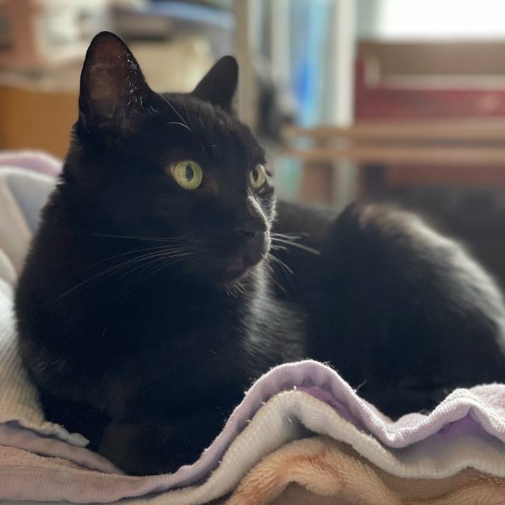 C431c71f 0280 4b9c a979 4d4a3bd2c7ef 1635213903270