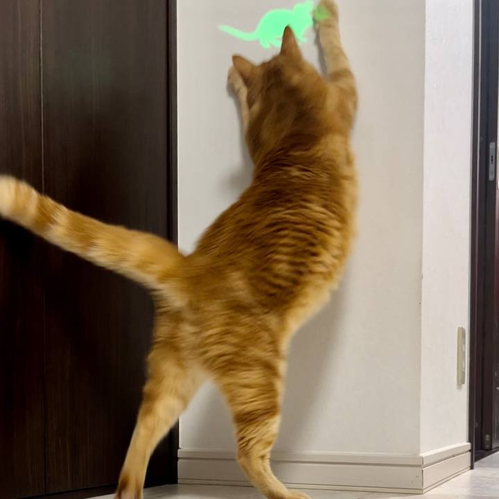 C4322a4e 14a2 4865 99ba 55a42afc1ab5 1660566982720