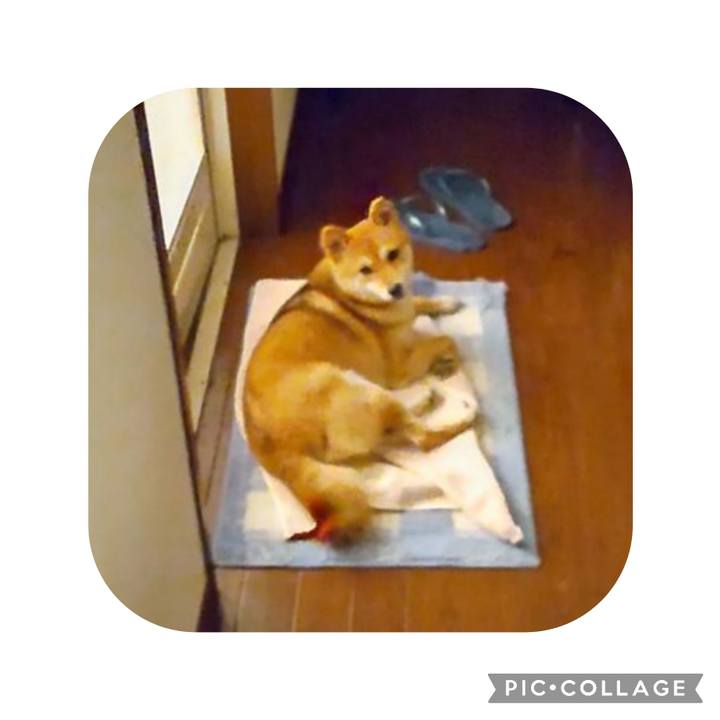 C4324bb2 0f44 44d4 a37c db186e5dc632 1692925226668