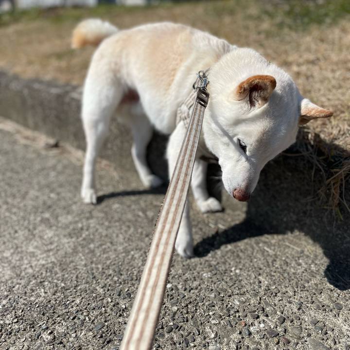 C43287c8 9c4a 47ae 9dfe a7ff1aa37513 1646550136044