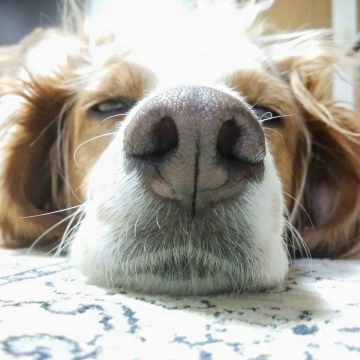 C432883f 337c 4017 8401 176aa89b003d 1561635563090