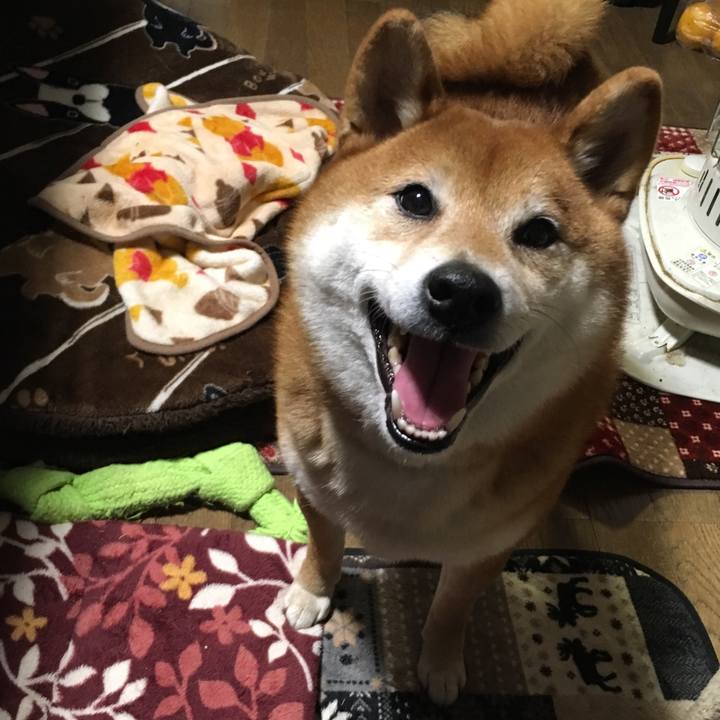 C4329b9a c1ca 44af 95d0 e3c5c04b4189 1583304405469