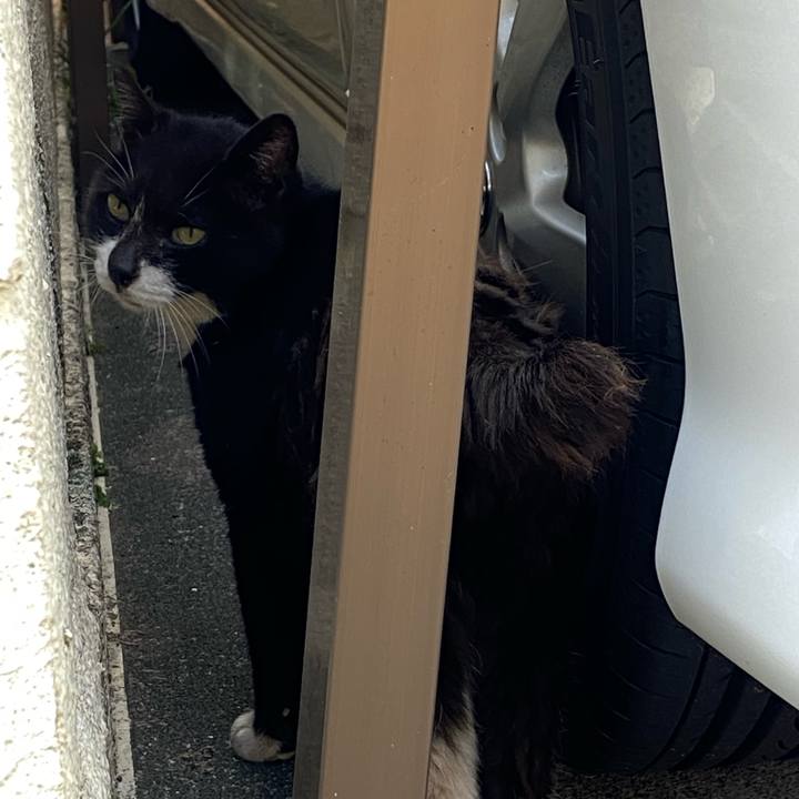 C432a1bf 1904 41bb 91e9 25638d0cc40b 1662812770040