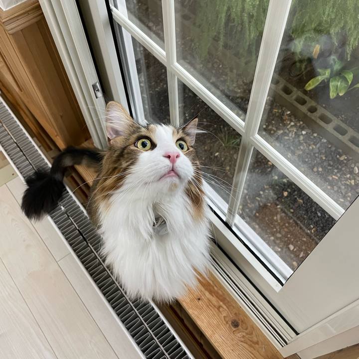 C432b6bc 17c9 47ef 9147 947557bf5ae7 1663623097275