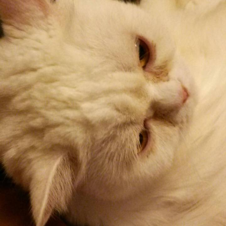 C432e387 b94f 4d91 a026 d2bd9c7b36df 1527171686689