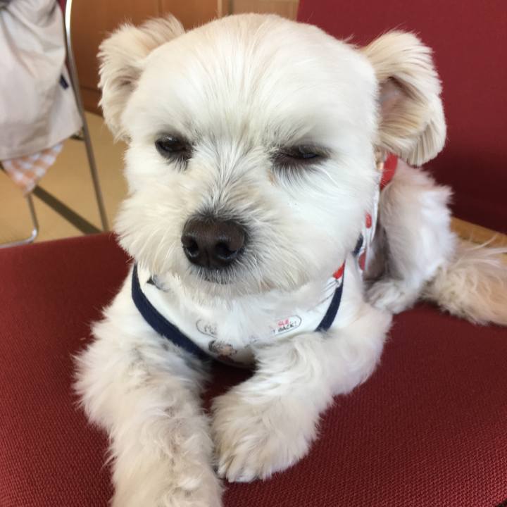 C432ece7 ed18 421d b80e c44a7b8483cd 1513307009695