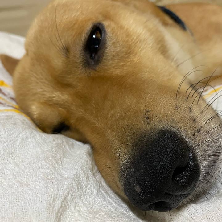 C4332c54 c696 4ef8 878f c5008689ad1e 1595747106951