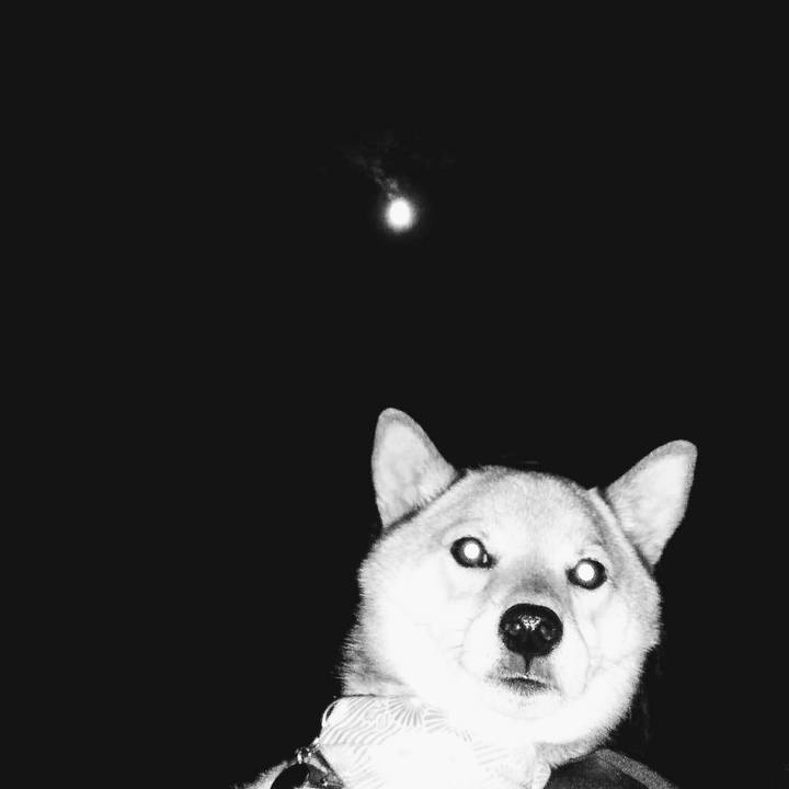 C4333bf5 deae 458c a7f8 936fe2ae8cb2 1537790429411