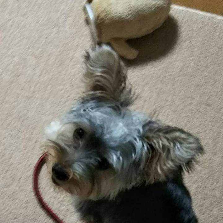 C4334382 8f2f 426d b2bb 1ba374d6dd0e 1538787092602