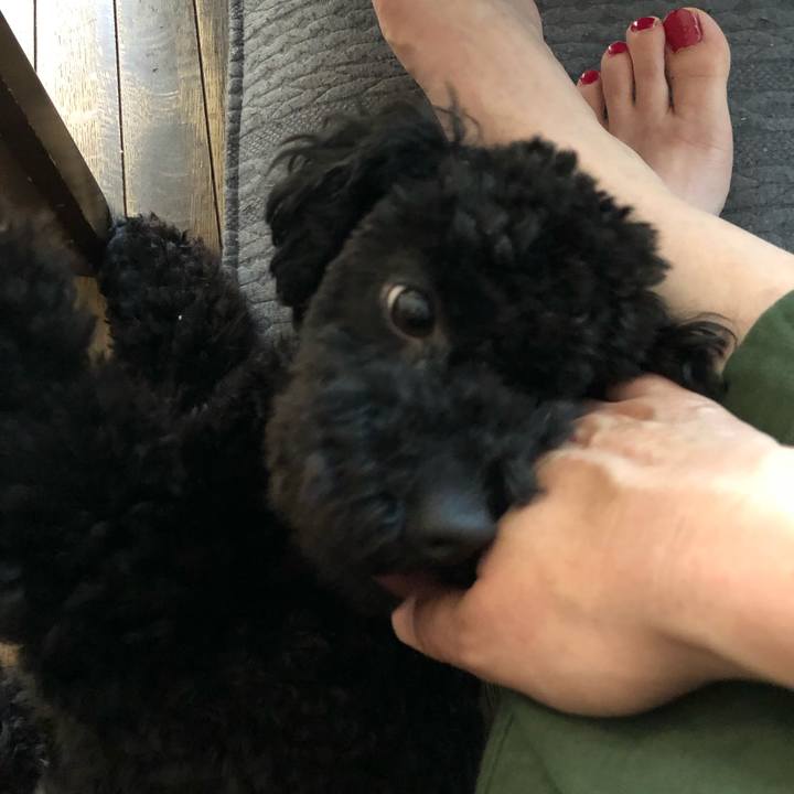 C4334eb0 b153 4f3d 8bc0 512bbe34f155 1525507630546