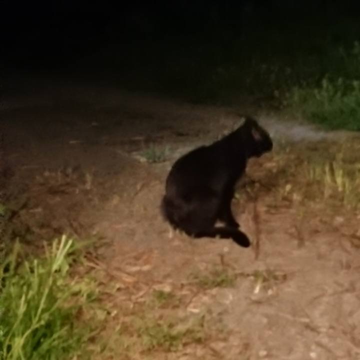 C4335b77 4c0d 46ab 9cec abfbc5372b0e 1626955145548