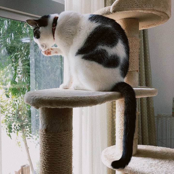 C4337a9e 1976 404e 9f71 469a60a144df 1642378382080