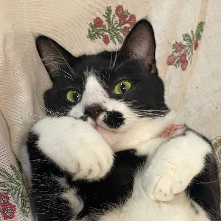 C43395dc 6301 4135 bb07 22154848b72e 1761899156425