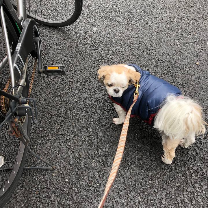 C433a711 389f 43ae 8111 79fa8b703556 1578433729213