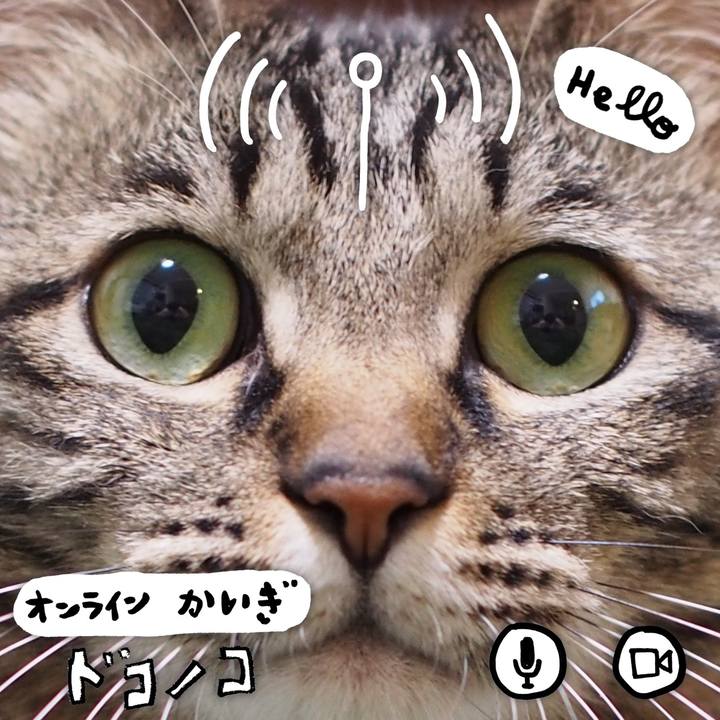 C433b71c 531d 4f8a 898e 963ca3a14a20 1593226533115