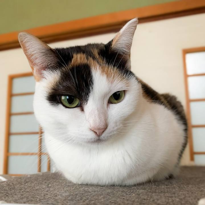 C433b826 a768 4225 ae4b 0708c2a758b3 1577407424057