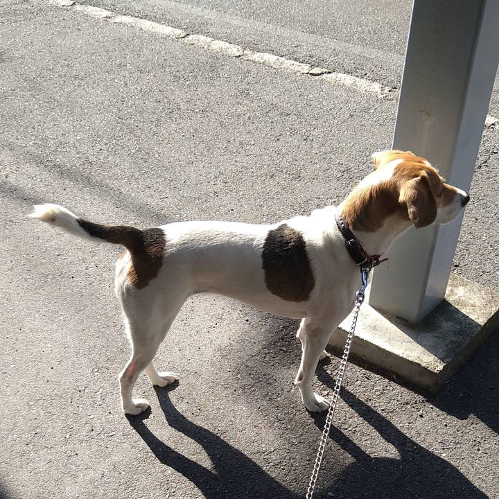 C433d356 8d29 4e1b 8069 96dc83eb58ac 1633440554673