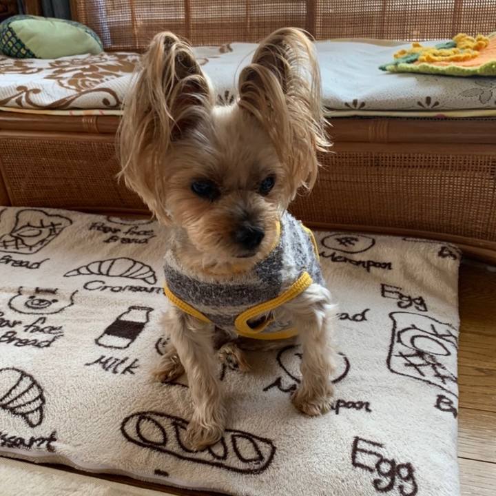 C433d590 fb84 4164 8388 aefab98ee5a9 1637488519480