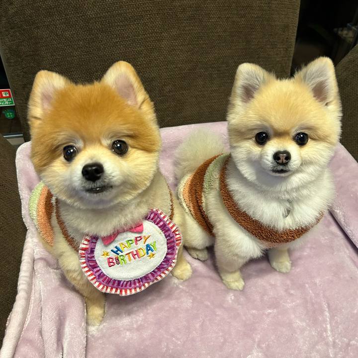 C433e0c0 3e26 47cb 9ce8 7f25957fecc1 1766401118362