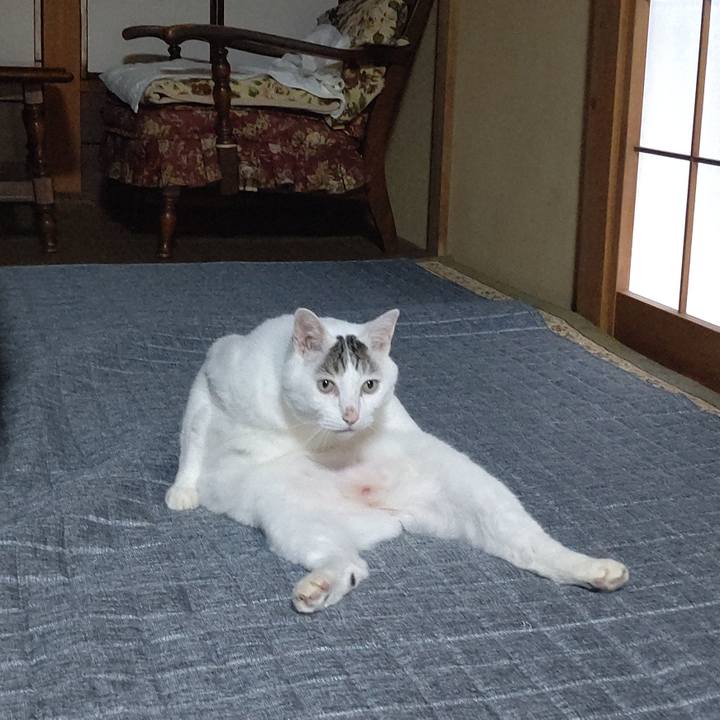 C433e3c2 057c 49cc 8178 89eab9dfadc8 1660621761857