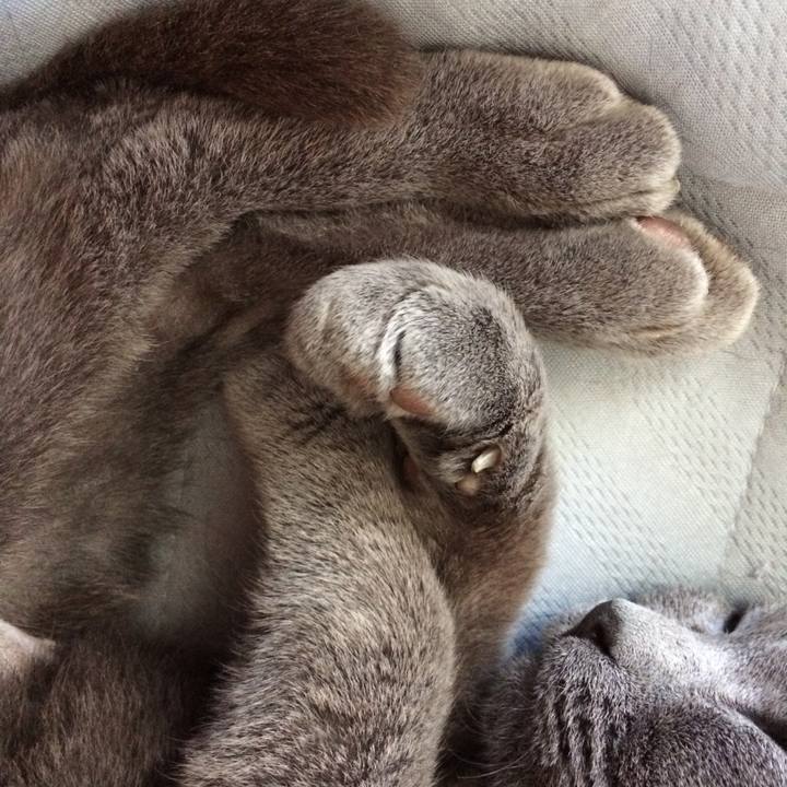 C433f2a5 30d0 4c39 9f4a 3db0d207b6d7 1528932578042