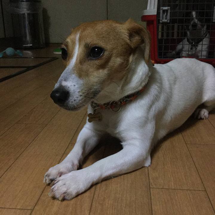 C43420f3 b153 4ded aa1d 421a09d5159f 1508839560101