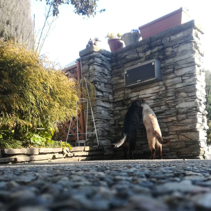 C4343c87 a138 40a4 9273 4b422046b591 1519715599085