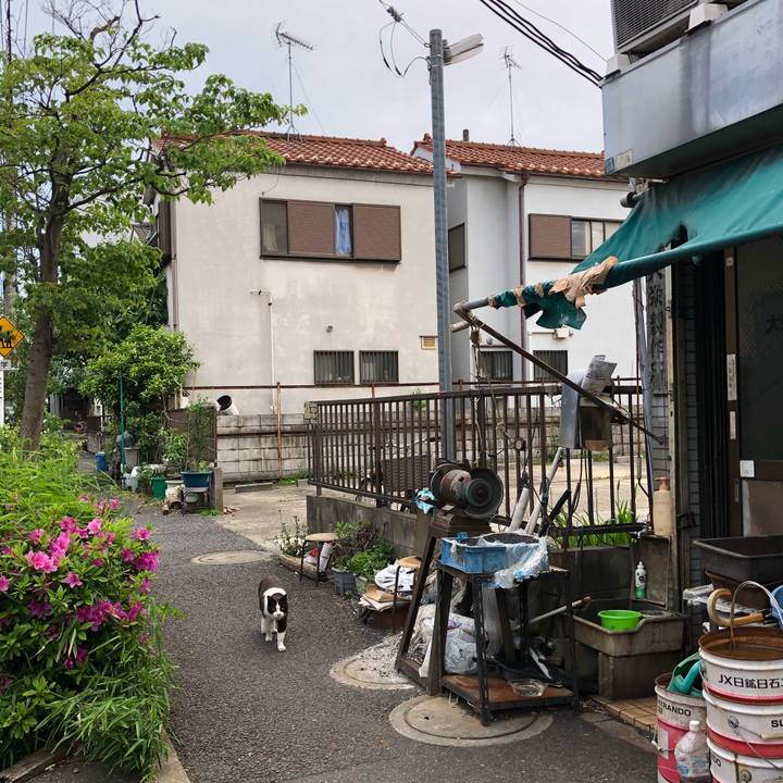 C434732b 7e44 47a1 ae87 7ab44709b5a5 1525079572705