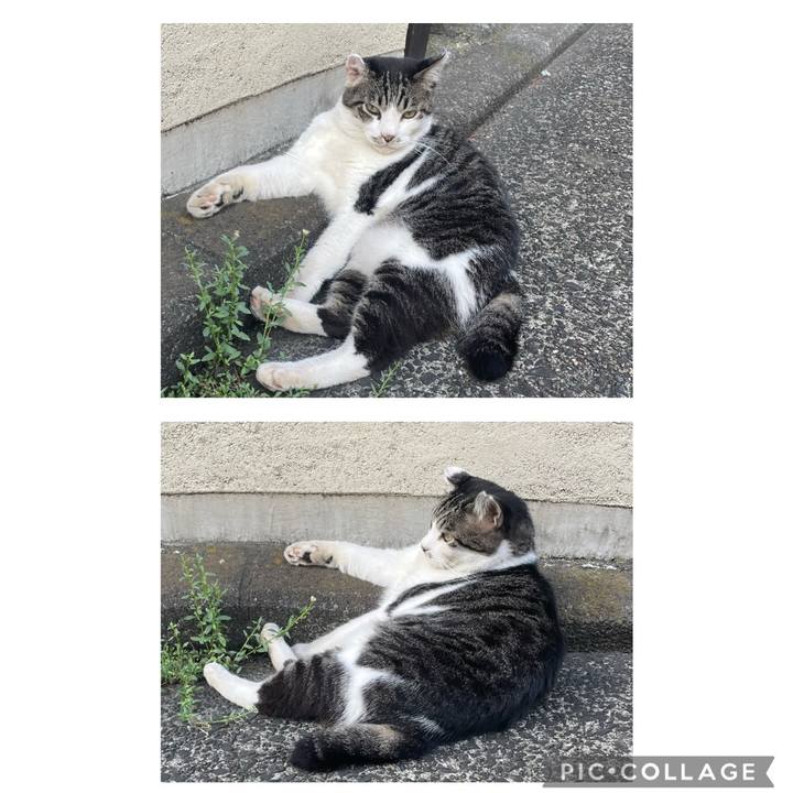 C43483b1 3bb3 4a43 881b 5073a3807e0c 1661223562000